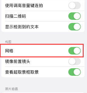 博望苹果手机维修网点分享iPhone如何开启九宫格构图功能 