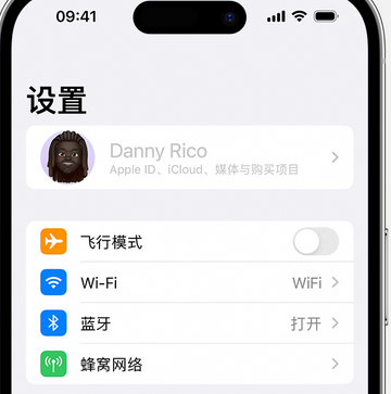 博望appleID维修服务iPhone设置中Apple ID显示为灰色无法使用 