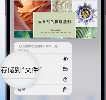 博望apple维修中心分享iPhone文件应用中存储和找到下载文件