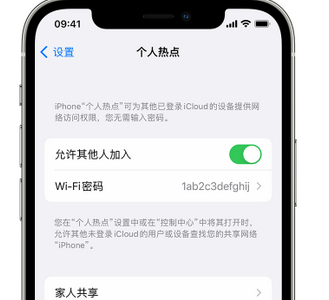 博望apple服务站点分享iPhone上个人热点丢失了怎么办 