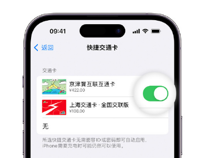 博望apple维修点分享iPhone上更换Apple Pay快捷交通卡手绘卡面 