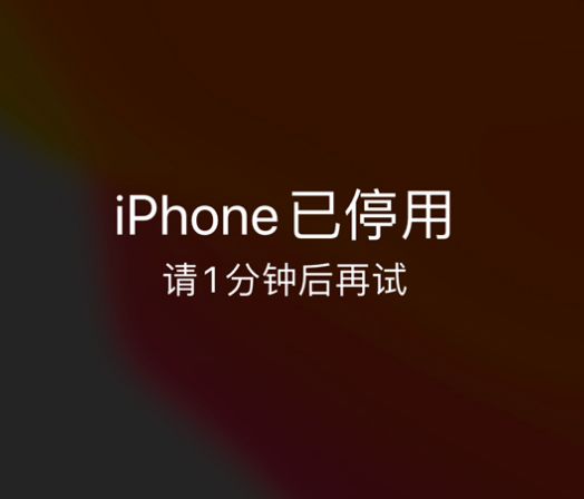 博望苹果手机维修分享:iPhone 显示“不可用”或“已停用”怎么办？还能保留数据吗？ 