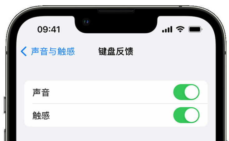 博望苹果手机维修分享iPhone 14触感键盘使用方法 