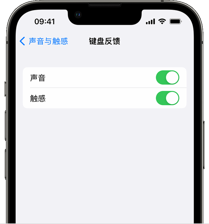 博望苹果14维修店分享如何在 iPhone 14 机型中使用触感键盘 