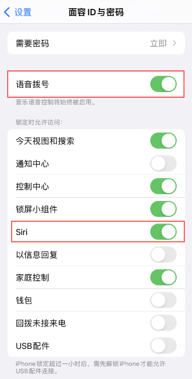 博望苹果维修网点分享不解锁 iPhone 的情况下通过 Siri 拨打电话的方法 