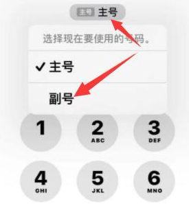 博望苹果14维修店分享iPhone 14 Pro Max使用副卡打电话的方法 