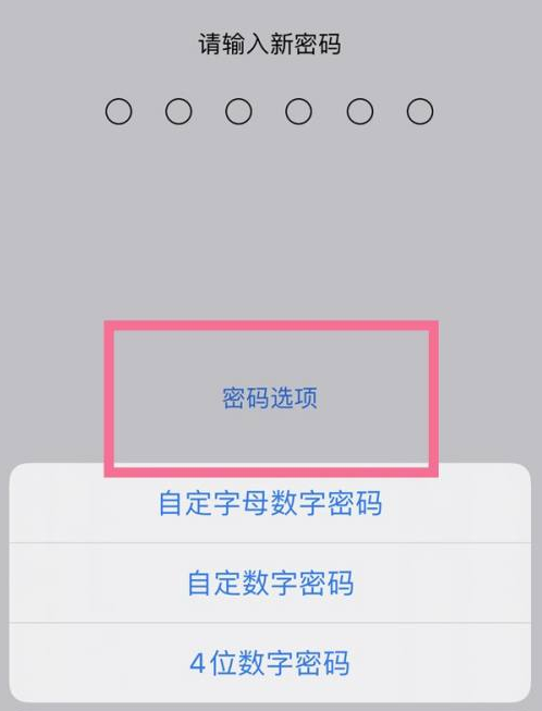 博望苹果14维修分享iPhone 14plus设置密码的方法 