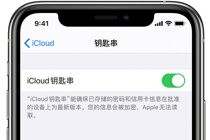 博望苹果手机维修分享在 iPhone 上开启 iCloud 钥匙串之后会储存哪些信息 