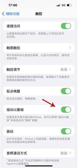 博望苹果手机维修分享iPhone手机如何设置摇一摇删除文字 