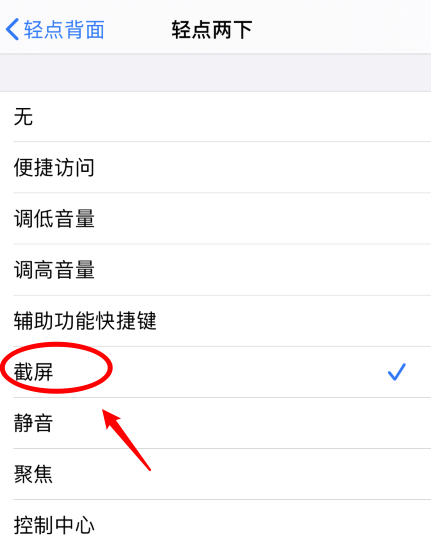 博望苹果手机维修分享iPhone12如何启用双击截屏 